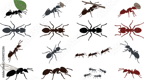 Obraz na płótnie Ant vector silhouettes set with worker ants carrying leaves, top view insect diagrams, flying queen ant, and colony trail graphics for nature layouts