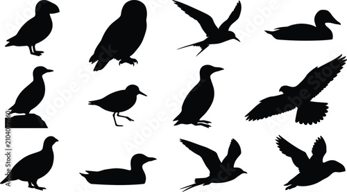 Schilderij op canvas Wild Bird Silhouette Vector Icon Set with Flying Eagle Seagull Duck Puffin Owl a
