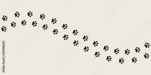 Leopard paw prints vector