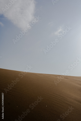 sand dunes in the desert