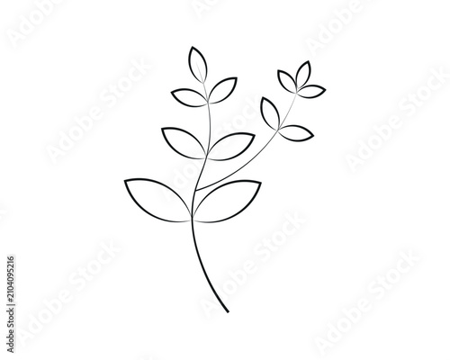 Delicate leaf branch illustration a minimalist black line drawing on a white background leaves foliage