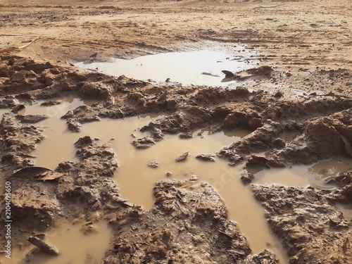 Fotografía Tire tracks on a muddy dirt road after the rain.
