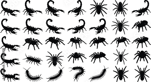 Foto Black arachnid and insect silhouette set featuring scorpions, spiders, and centi