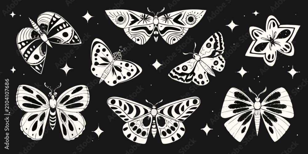 Fototapeta Butterfly Collection Black And White Vector Illustration With Decorative Elements