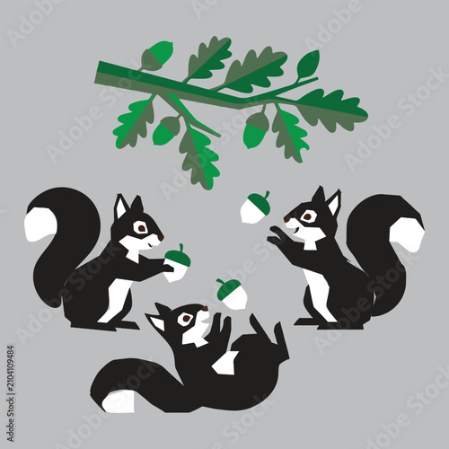 Squirrels Playing with Acorns Flat Vector Art And Illustration