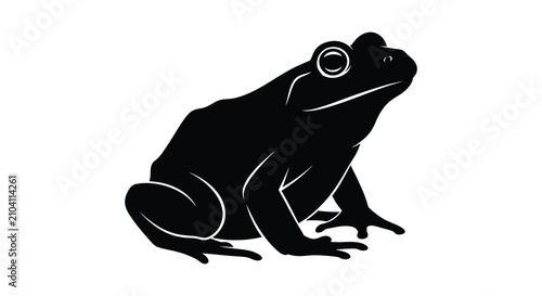 Fotografía Frog silhouette amphibian animal wildlife nature black