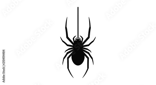 Foto Spider hanging from thread silhouette black white