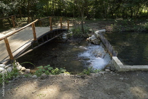 A picturesque wooden bridge over a clear forest stream in a green park. A cozy nature trail surrounded by tall trees and sunlight creates an atmosphere of tranquility and harmony. Photography is ideal