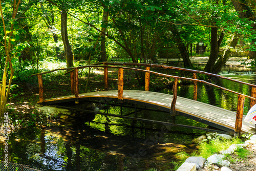 A picturesque wooden bridge over a clear forest stream in a green park. A cozy nature trail surrounded by tall trees and sunlight creates an atmosphere of tranquility and harmony. Photography is ideal