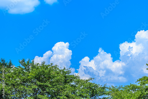 青空と湧き上がる夏の入道雲と緑の木々