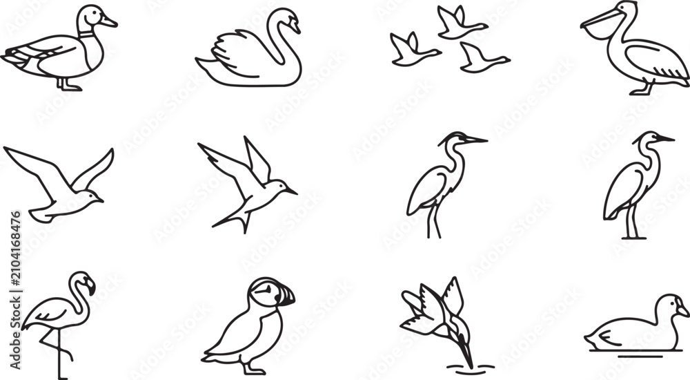 Obraz premium Set of simple black and white line depicting various species of water birds and aquatic animals in different poses and actions