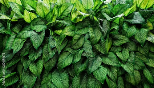 Artificial Green Leaves For Background