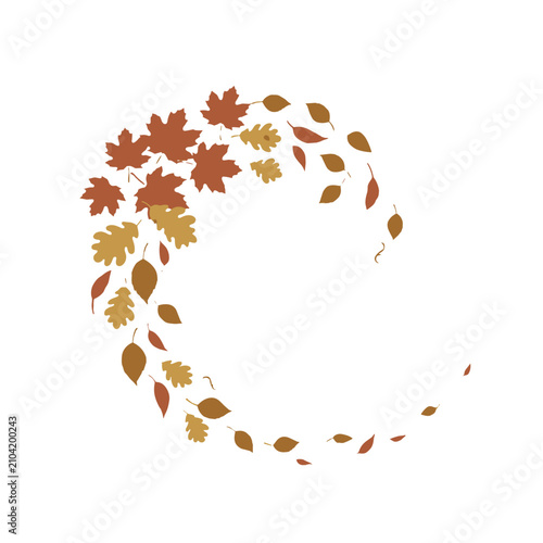 Autumn leaves swirling in a circular pattern.