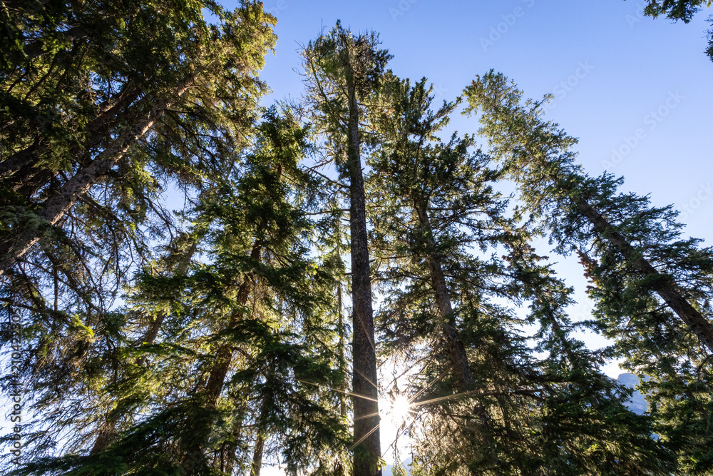 Fototapeta premium Majestic Summer Landscapes of Banff and Jasper National Parks, Canadian Rockies
