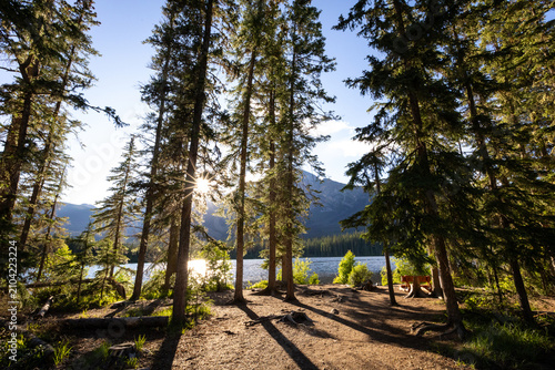 Majestic Summer Landscapes of Banff and Jasper National Parks, Canadian Rockies