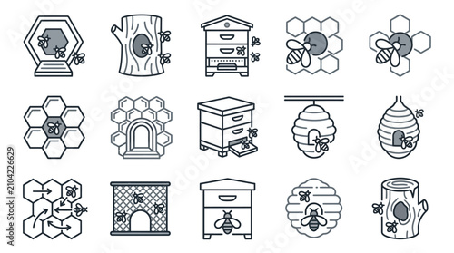 Honeybee hive varieties and honeycomb line icons.