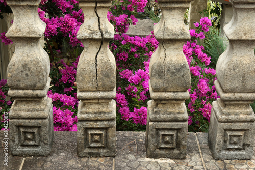 Fotografie Old concrete balustrade columns with vibrant pink bougainvillea flowers blooming in the background