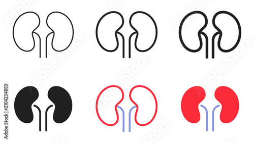 Foto human kidney internal organ icon set