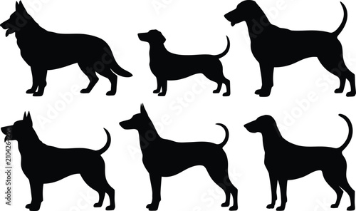 Foto Dog breed silhouettes collection german shepherd beagle great dane and more