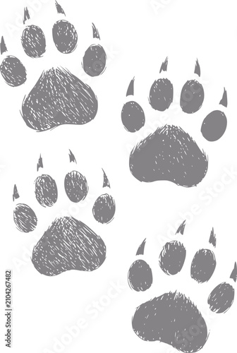 Colección de huellas de patas de animales grises dibujadas a mano con garras aisladas sobre un fondo blanco liso para