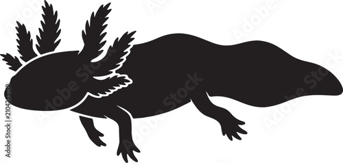 Cuadro en lienzo Axolotl salamander aquatic amphibian silhouette isolated on white background unique creature icon set