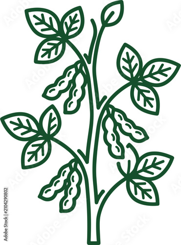 Green soybean stalk graphic illustrating organic agricultural legume cultivation showcasing mature pods leaves and stem growth
