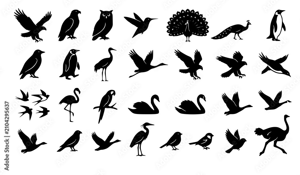 Obraz premium Avian Wildlife Bird Silhouette Collection Featuring Flying Eagle Owl Peacock Penguin Swan Flamingo and Ostrich Graphics for Nature Zoology Vector Pattern Design Assets