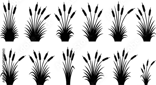 Schilderij op canvas Vector silhouette collection of black cattail reed plants and wild swamp grass f