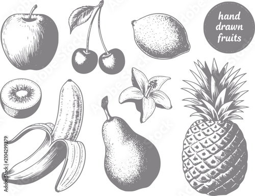 Fotografía Colección de frutas estilo dibujado a mano que incluye manzana, cereza, limón, p