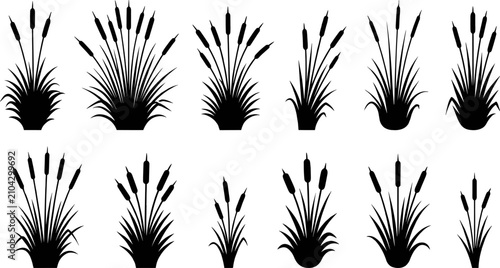 Foto Vector silhouette collection of cattail reeds and marsh grass clumps for wetland