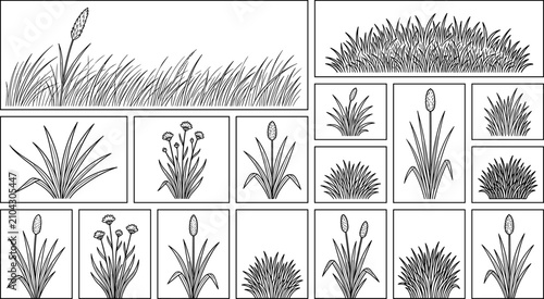 Schilderij op canvas Hand drawn black and white line art collection of meadow grass, wildflowers, and