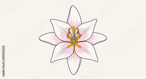 Фотография Pink lily flower illustration with yellow stamens.