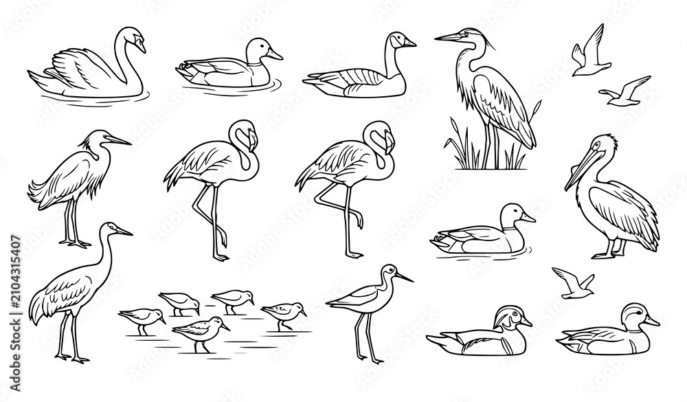 Obraz premium Waterfowl and Coastal Seabird Line Art Icon Collection Featuring Duck Swan Flamingo Pelican Heron and Flying Seagulls for Marine Biology Layouts and Nature Fabric Designs