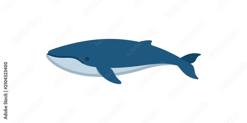 Fototapeta premium Cartoon Illustration of a Blue Whale Swimming.