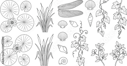Photos Nature elements collection vector set with water lily cattail ivy vines and seas