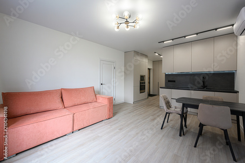 compact modern apartment blends a living area with a kitchen: a peach sofa contrasts with neutral cabinetry, dark countertops, and warm wood flooring under a stylish chandelier
