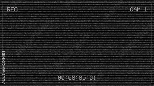 Retro cctv screen recording overlay with analog noise and scanlines