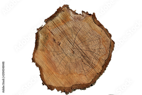 tree ring mat on a fruit tree