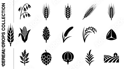 Collection of black and white cereal crops and agricultural plants icon silhouette vector elements