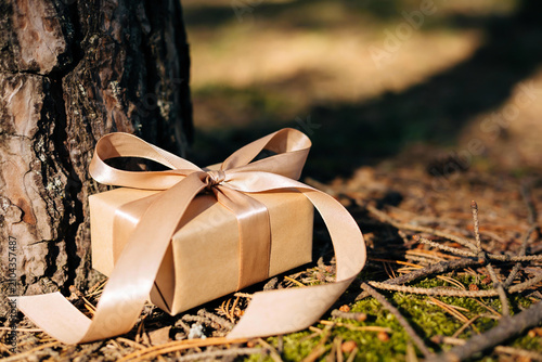 Tableau sur toile A beautifully wrapped gift box rests against a tree trunk in a natural forest se