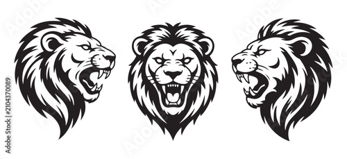 Canvas Print Lion heads display aggressive expressions in this detailed black and white set
