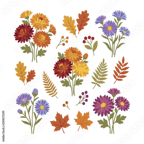 Colorful Autumn Flower Set Vector Illustration with Daisy Gerbera and Chrysanthemum Floral Collection for Seamless Pattern Nature Decoration and Botanical Design