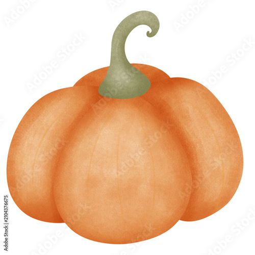 pumpkin isolated on white background