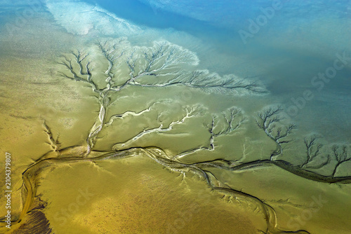 Foto Drone photography of natural forest-like pattern carved into the mudflats by the