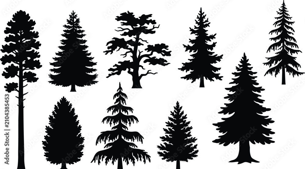 Fototapeta premium Collection of Evergreen Tree Silhouettes Isolated on White Background for Forest Landscape and Nature Vector Design