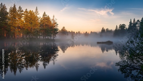 Tranquil Mist Covered Forest At Dawn With Reflection In Calm Waters