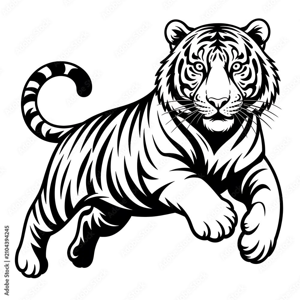 Obraz premium Black and white tiger illustration jumping isolated on white background