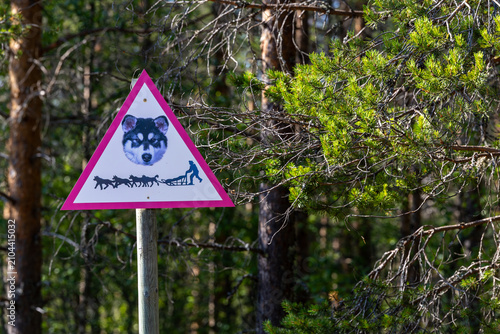 Konstfotografi Idre, Sweden A road sign on a  forest road warns of husky and dog sled crossings