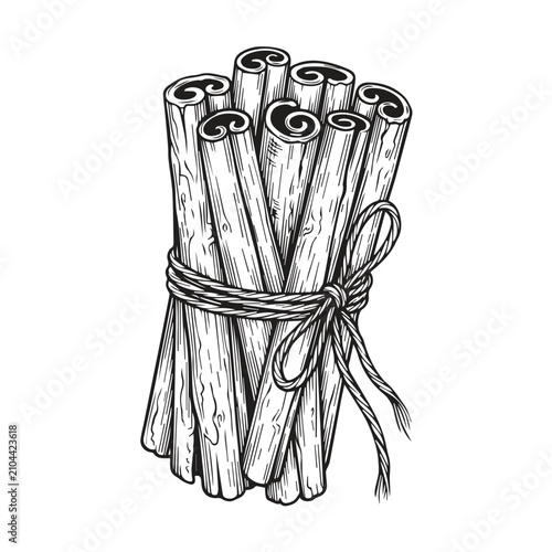 Hand drawn illustration of a cinnamon stick bundle tied with twine, cinnamon