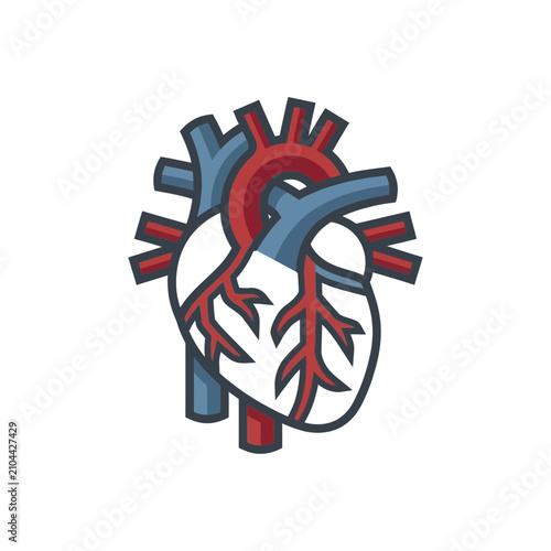 Human heart anatomical vector icon for healthcare and medical education. Stylized organ illustration with veins and arteries. Flexible Layout, Design Space.